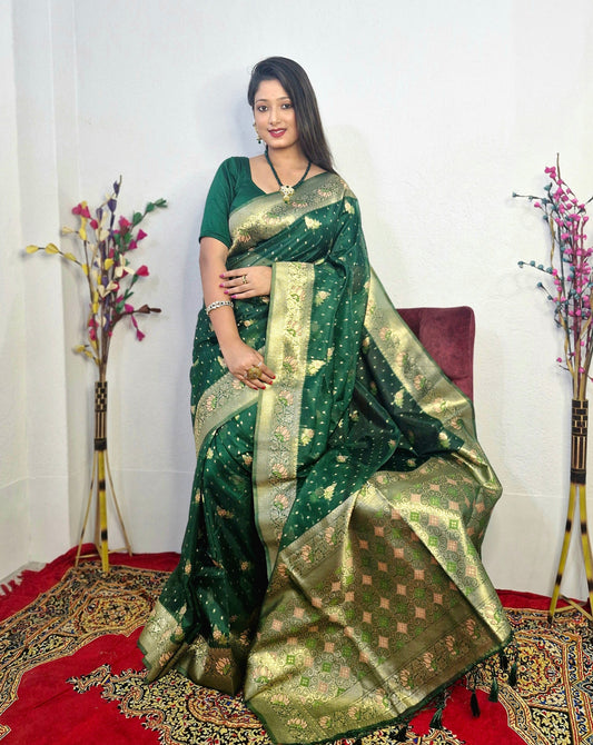 SS57 BANARASI MEENA ORGANZA SILK SAREE WITH BP